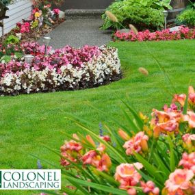 Garden Enhancement services by Colonel Landscaping