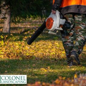 Spring and Fall clean up and removal by Colonel Landscaping