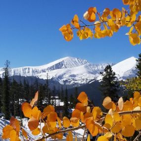 best realtor in breckenridge