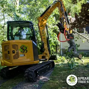 Tree Removal Crane Services by Spear Bro's Tree Service