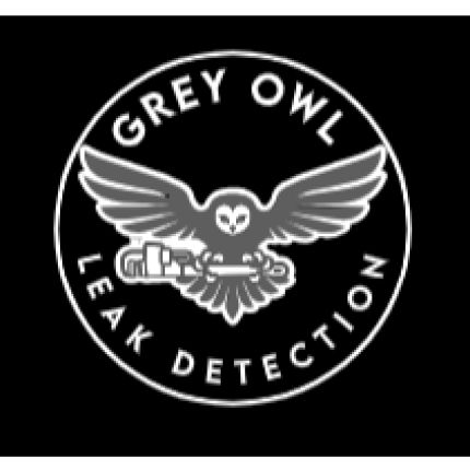 Logótipo de Grey Owl Leak Detection