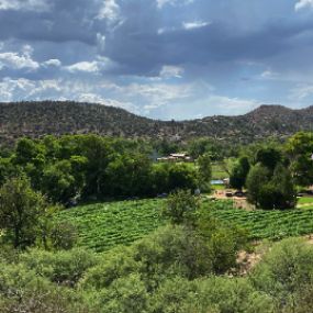 Wine Tours of Sedona is a Tour operator, Winery, and Brewery in Sedona, AZ.