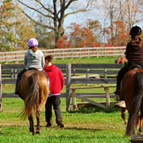 Bild von Windy Pines Farm