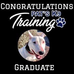 Bild von Pat's K9 Training, LLC