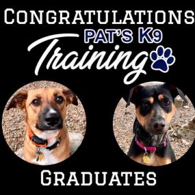 Bild von Pat's K9 Training, LLC