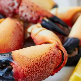 Enjoy mouth-watering crab claws at Port 17 Seafood Restaurant at Harrah's Gulf Coast Hotel & Casino, in Biloxi MS.