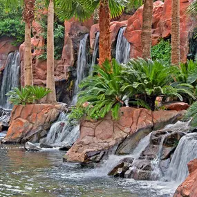 Family Pool Waterfalls and Slides at Flamingo Hotel Las Vegas Pool