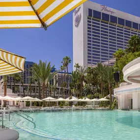 All-New Go Pool at Flamingo Las Vegas Main Pool