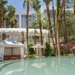 All-New Go Pool at Flamingo Las Vegas Circular VIP Pool