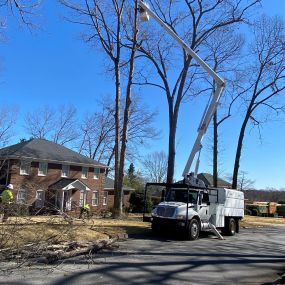 Regular tree maintenance is crucial for ensuring the health and safety of your trees, and Tyndal Tree Service LLC provides comprehensive tree maintenance services in Greer, SC. Our team offers services such as fertilization, disease management, and pest control, all tailored to the unique needs of your trees, so they continue to thrive for years to come.