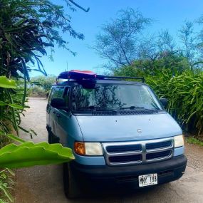 Bild von Maui Adventure Vans