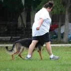 Bild von Suncoast K9 Academy, LLC