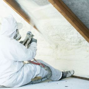 Ecofoam Insulation