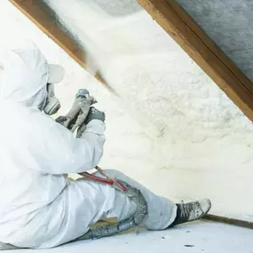 Ecofoam Insulation