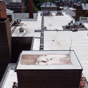 Bild von Roof Consulting Services