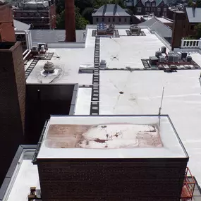 Bild von Roof Consulting Services