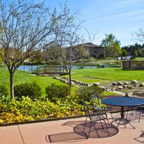 Patio overlooking the pool and pond