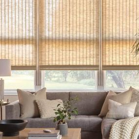 Hunter Douglas shades