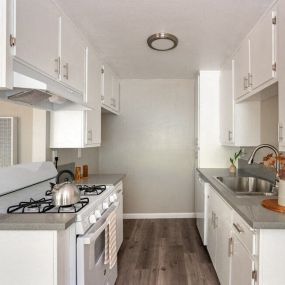 Kitchen at North View Terrace