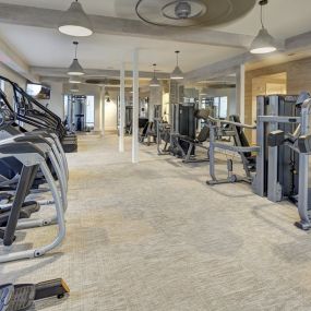 Fitness Center with Modern Equipment