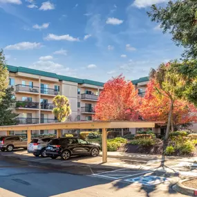 Parking at Altamont Apartments in Rohnert Park, CA 94928