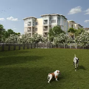 Dog Park at Heron Ridge Apartments