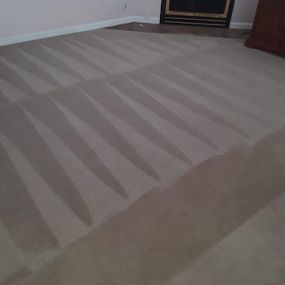 Bild von Amazing Carpet Cleaning & More!