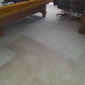 Bild von Amazing Carpet Cleaning & More!