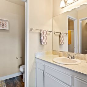 Primary bathroom with oversized vanity