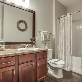 Bathroom at Overlook at Stone Oak Park Apartments