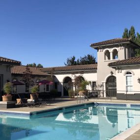 Pool at Falcon Bridge at Gale Ranch in San Ramon