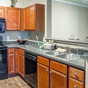 Modern Kitchen