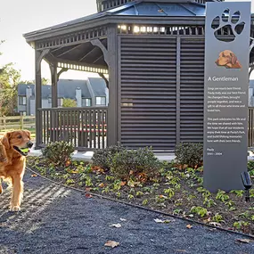 Dog Park at Blue Bell Villas