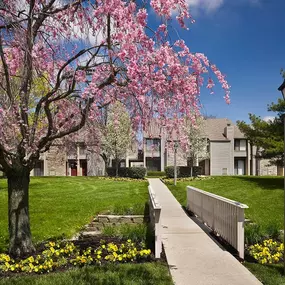 Walking Trail at Blue Bell Villas