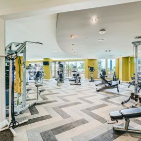 The gym with weights and cardio machines