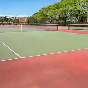 Outdoor Tennis Court