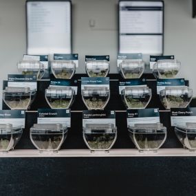 Pure Options Weed Dispensary Mt Pleasant