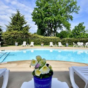 Pool with Lounge Chair