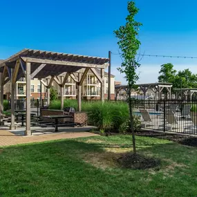 Picnic tables and  grill