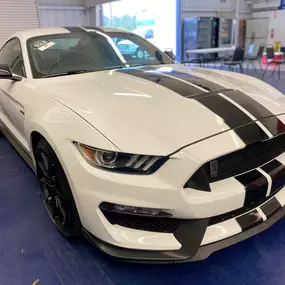 Bild von Manheim Tallahassee