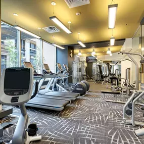 Gym at Galtier Towers