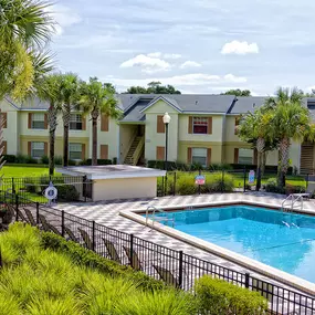 swimming pool with sundeck and palm trees