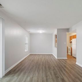 Open Space Living Room with Kitchen