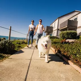 Bild von OceanAire Apartment Homes