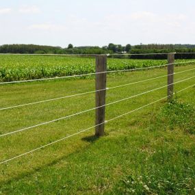 fencing boards