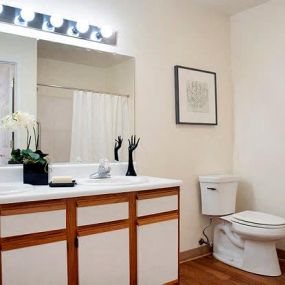 Bathroom at Idlewild Creek  Apartments