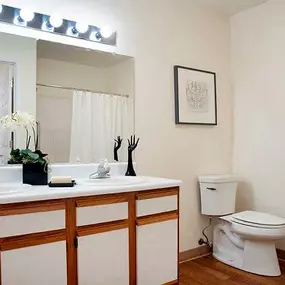 Bathroom at Idlewild Creek  Apartments