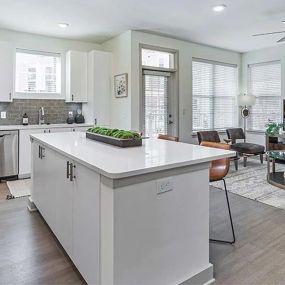 Kitchen and Living Room