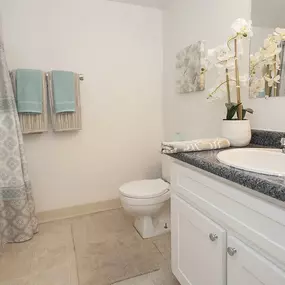 Bathroom at River Pointe Apartments