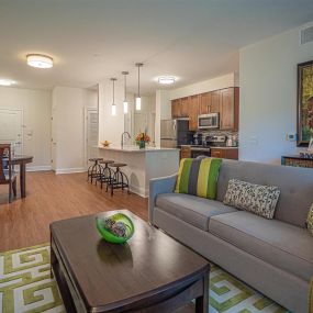 Open Kitchen Living Room